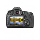 Canon EOS 5D Mark III with 24-105mm Lens (FairlyUsed)